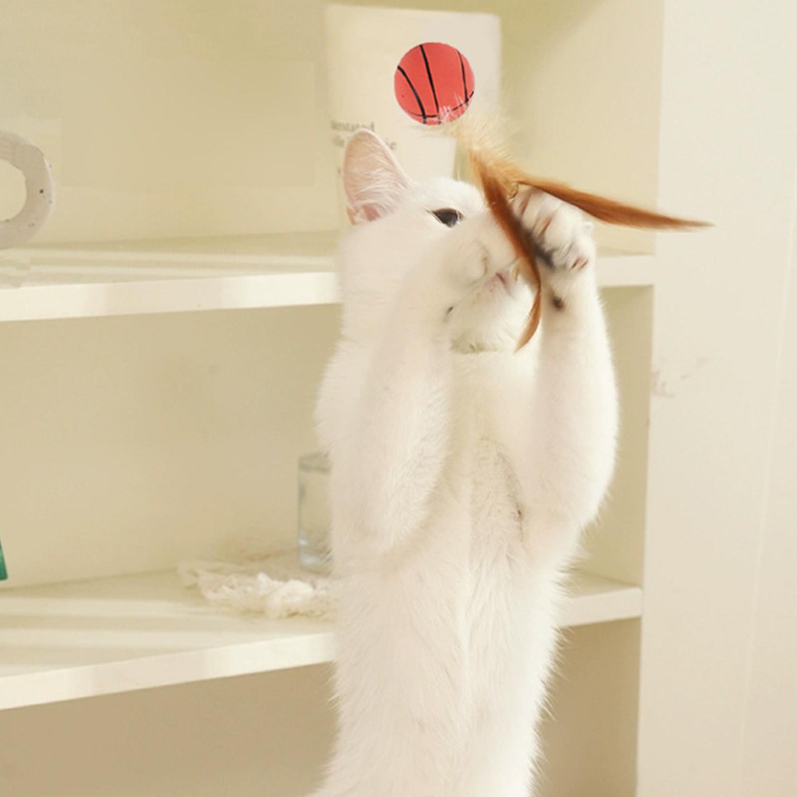 猫の羽ボールのおもちゃ インタラクティブ猫のおもちゃ 屋内猫 - Basketball Arcade Game のレビューと価格