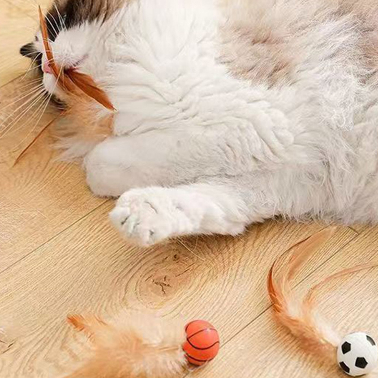 猫の羽ボールのおもちゃ インタラクティブ猫のおもちゃ 屋内猫 - Basketball Arcade Game のレビューと価格
